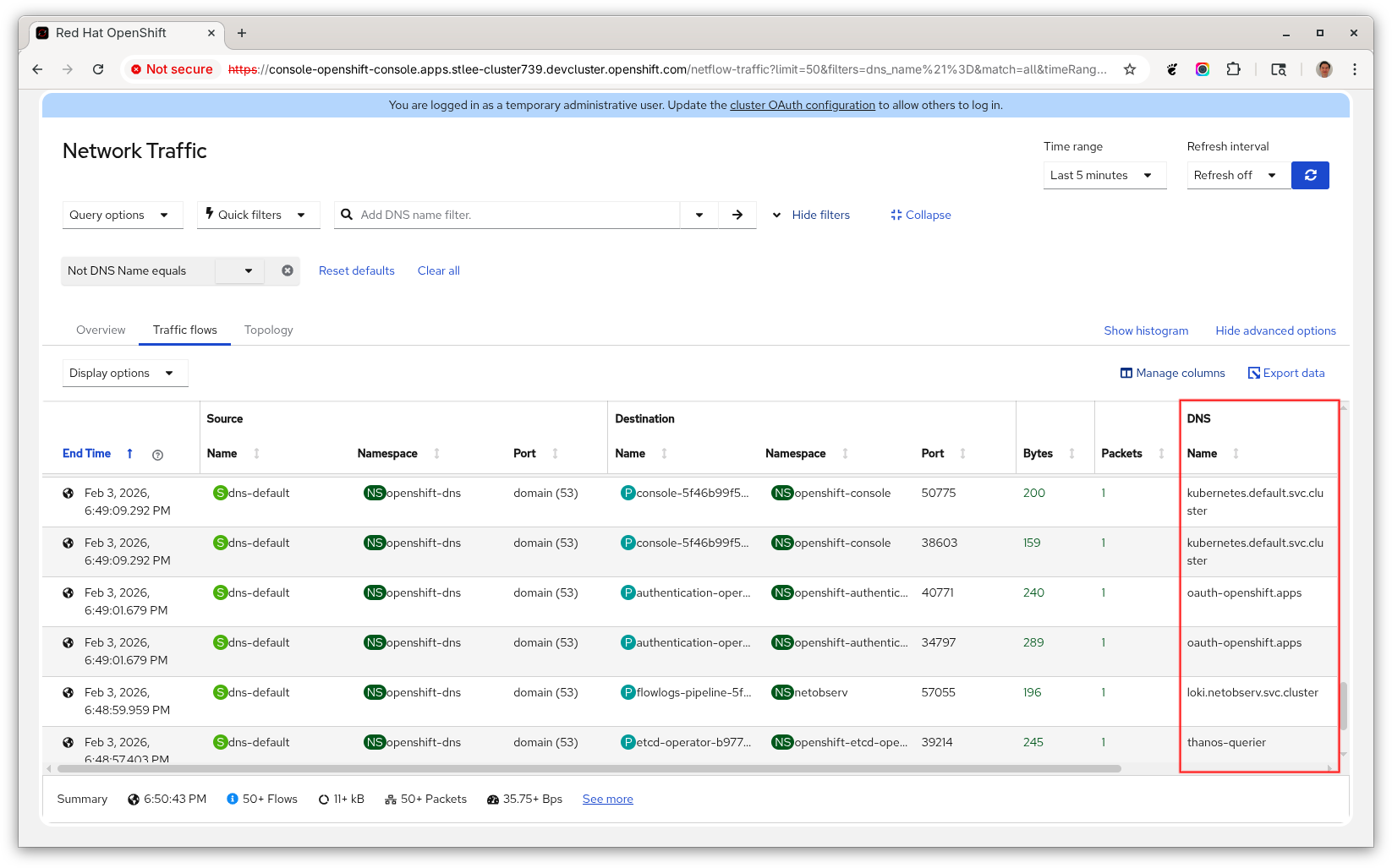 Traffic flows - DNS Name
